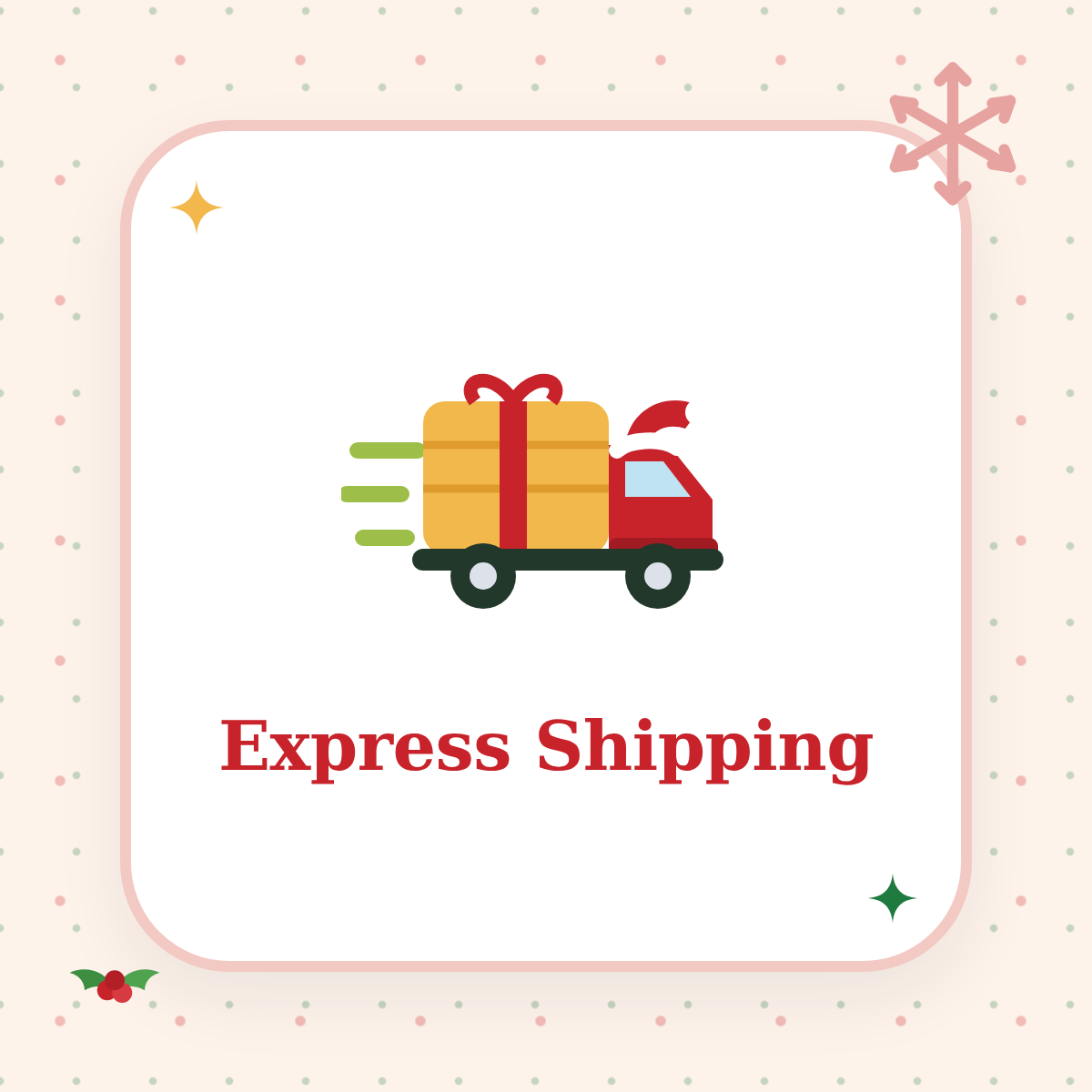 Express Shipping